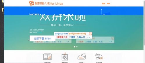 白帽子黑客與網絡安全工程師視角 Kali Linux與Windows軟件管理的異同