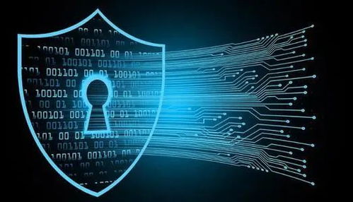 信息時代，維護網絡安全刻不容緩 聚焦網絡與信息安全軟件開發